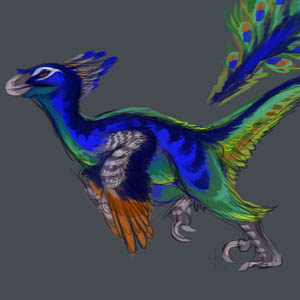 Peacock Raptor Design